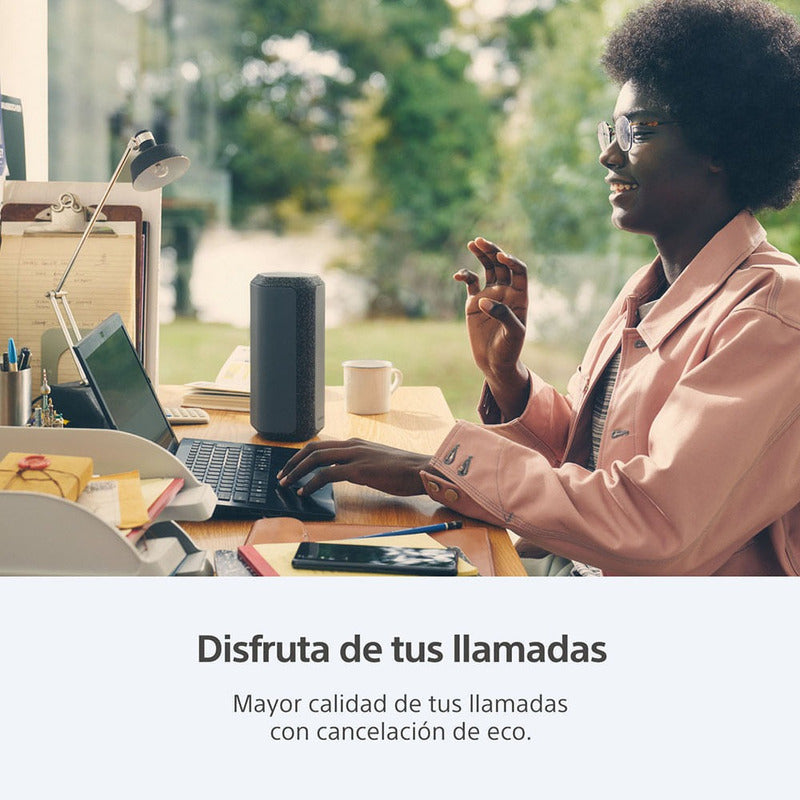 Bocina Sony Serie X Srs-xe300 Srs-xe300 Portátil Con Bluetooth Waterproof Negra 127v