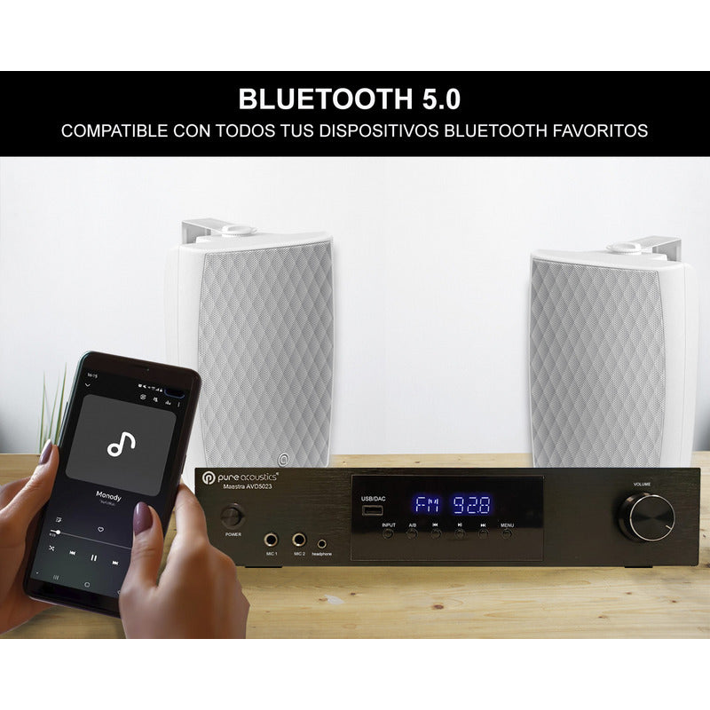 Amplificador De Audio Pure Acoustics Bluetooth 2.1 Canales