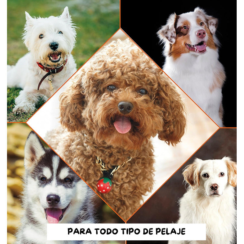 Wahl Shampoo Para Mascotas Perro/gato Formula Avena 700 Ml