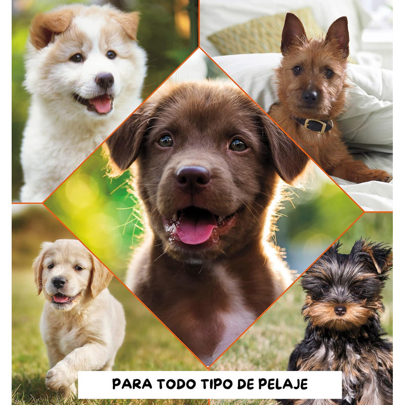 Wahl Shampoo Para Mascotas Perro/gato Formula Avena 700 Ml