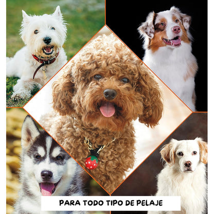 Wahl Shampoo Para Mascotas Perro/gato Formula Avena 700 Ml
