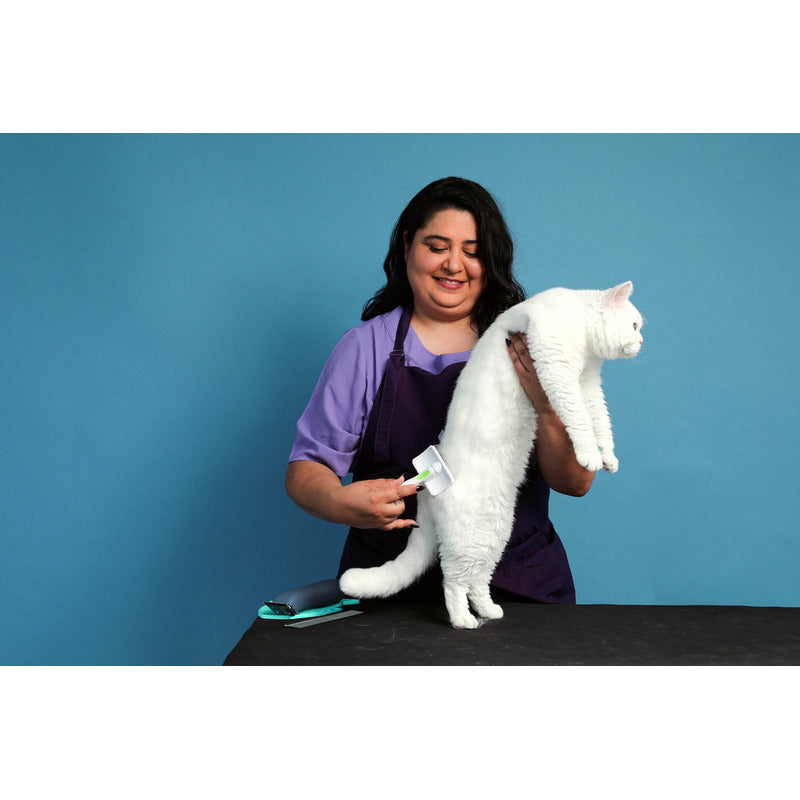Cepillo Para Mascotas Andis Grooming Tools Firmeza Mediana Para Gato Y Perro Color Verde