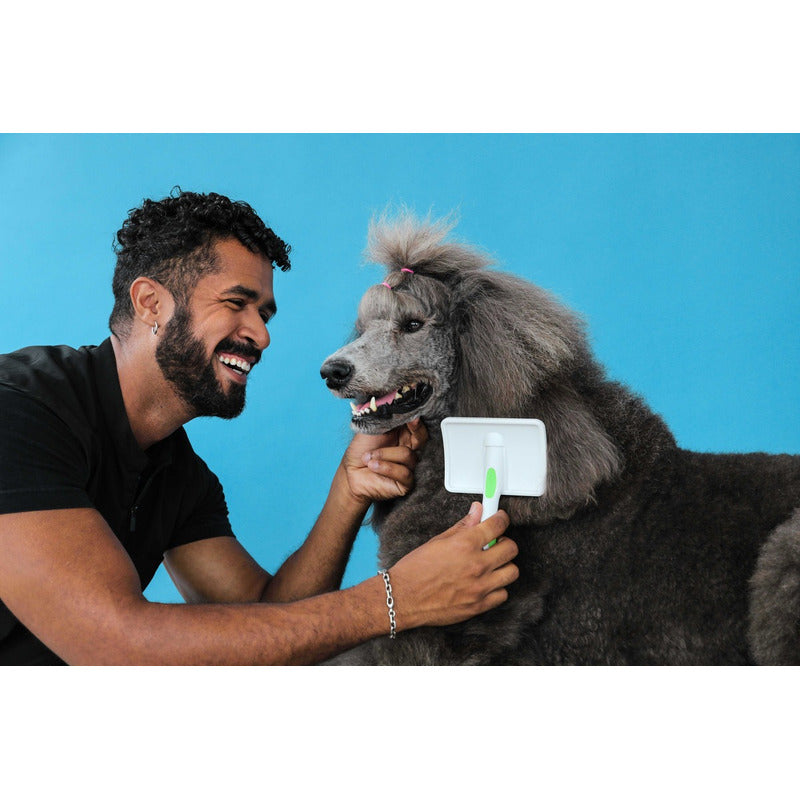 Cepillo Para Mascotas Andis Grooming Tools Firmeza Mediana Para Gato Y Perro Color Verde