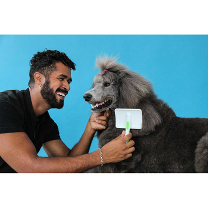 Cepillo Para Mascotas Andis Grooming Tools Firmeza Mediana Para Gato Y Perro Color Verde